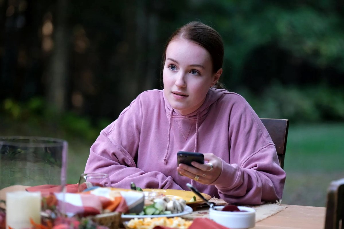 Photo from the movie The Guide to the Perfect Family