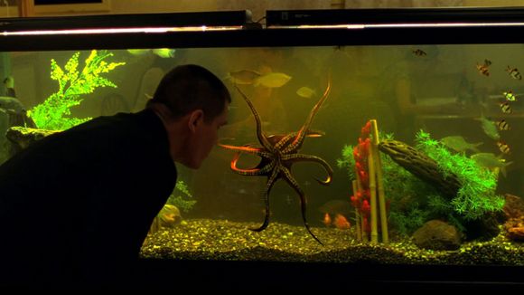 Photo from the movie Oldboy