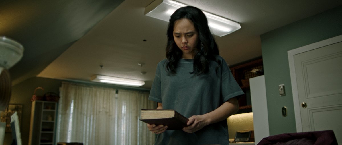 Photo du film The Protector