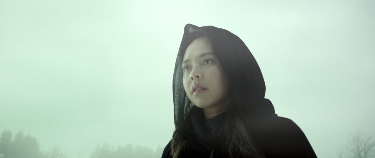 Photo du film The Protector