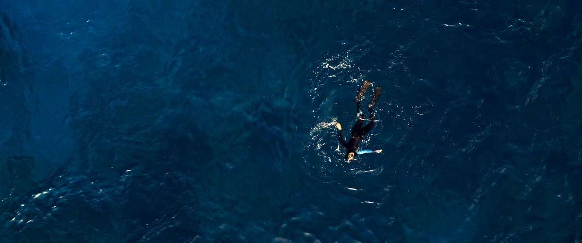 Photo du film The Dive