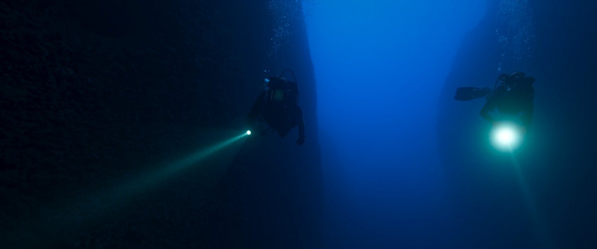 Photo du film The Dive