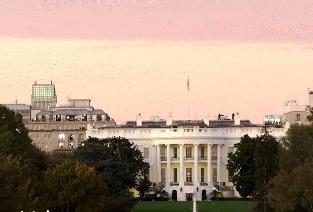 Photo du film Troll Storm