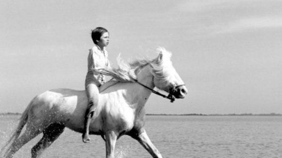 Photo from the movie White Mane