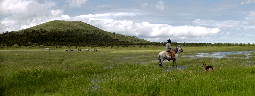Photo du film Our Time