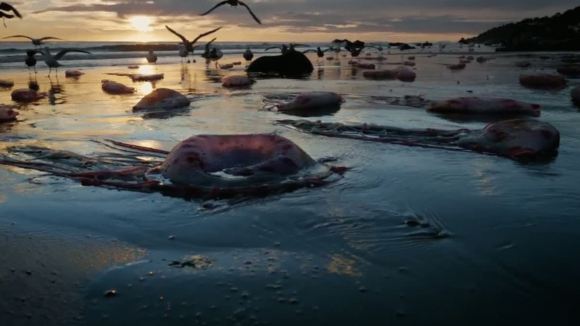 Photo du film Birdman ou les vertus insoupçonnées de l'ignorance