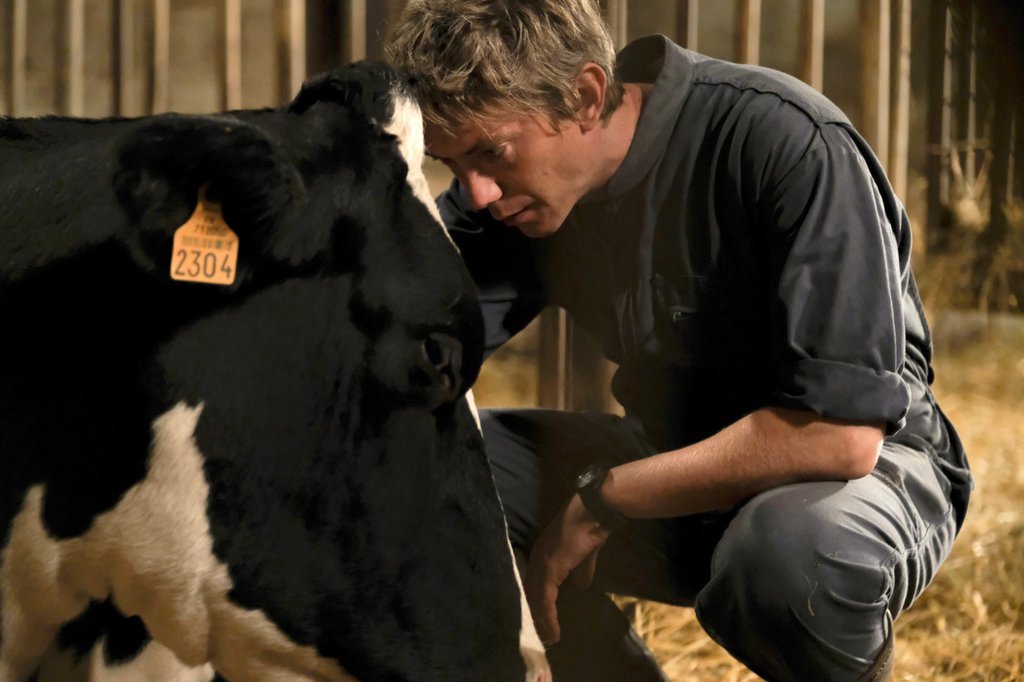 Photo du film Petit paysan