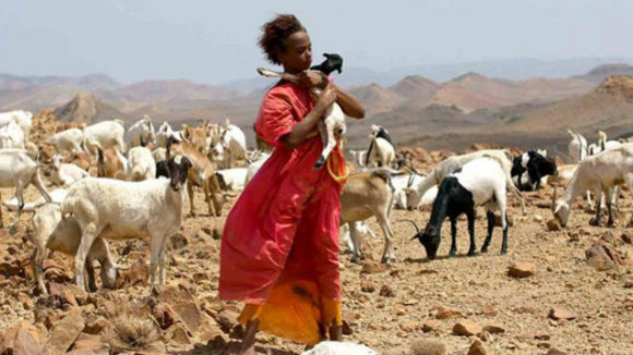 Photo from the movie Desert Flower