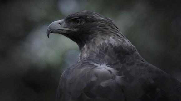 Photo from the movie The Meteor