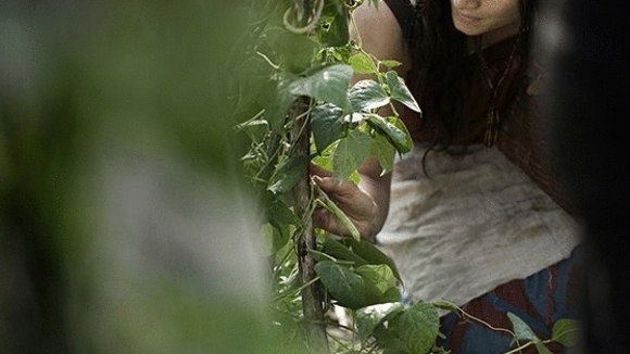 Photo du film Le Torrent