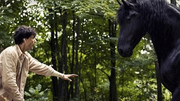 Photo du film Le Torrent