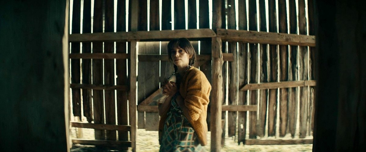 Photo du film Wildcat