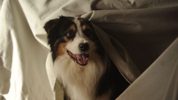 Photo from the movie Famous Five 2