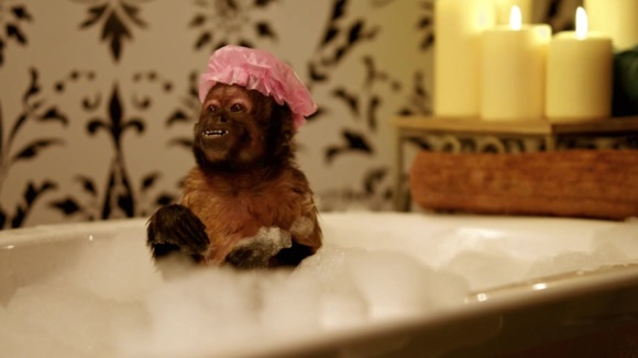 Photo from the movie Monkey Up