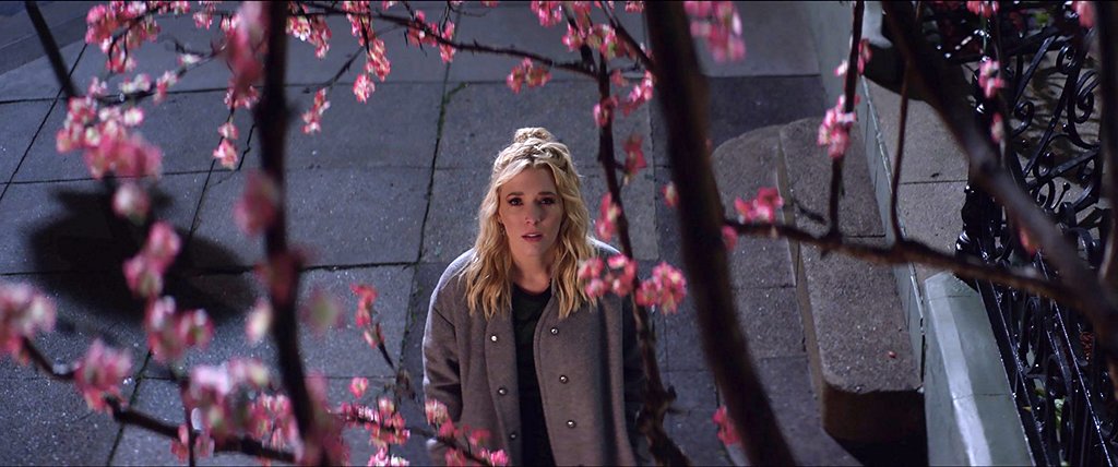 Photo du film The Year of Spectacular Men