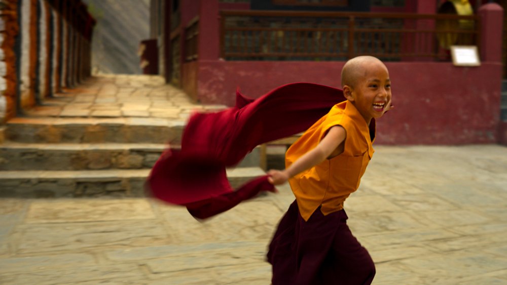 Photo du film Becoming You