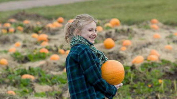 Photo from the movie Charlotte's Web