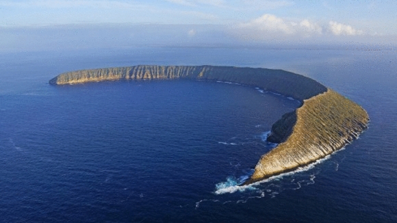 Photo from the movie Galapagos: Nature's Wonderland