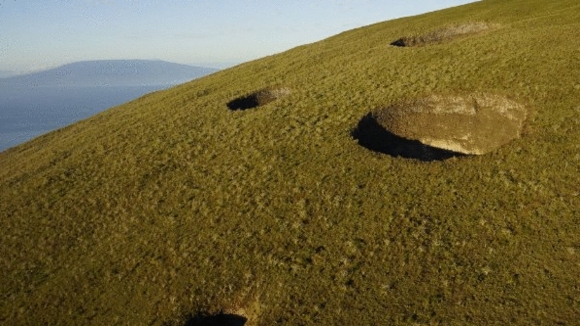 Photo from the movie Galapagos: Nature's Wonderland