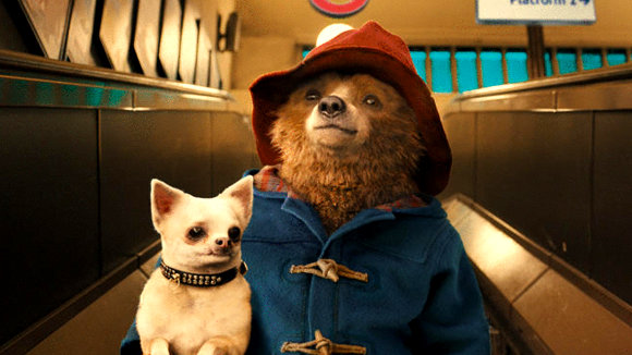 Photo du film Paddington v.f.