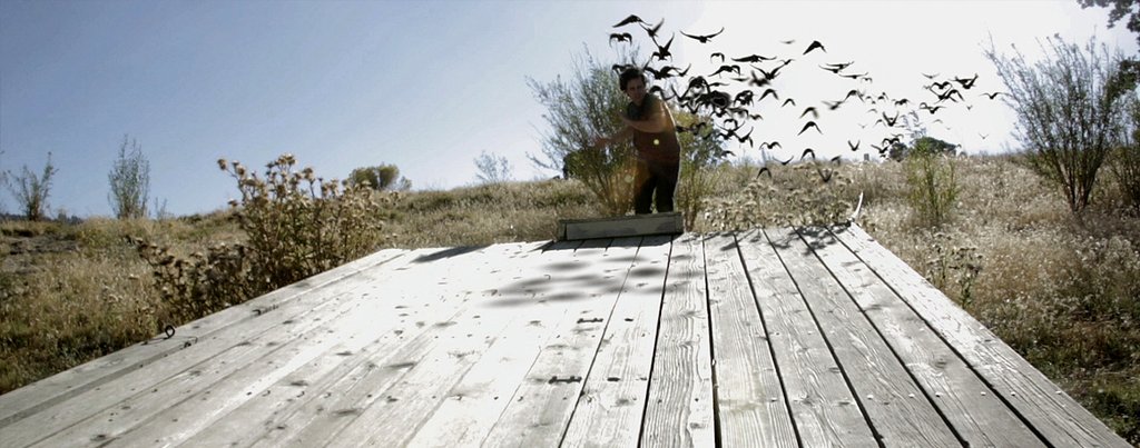 Photo du film The Lost Tree