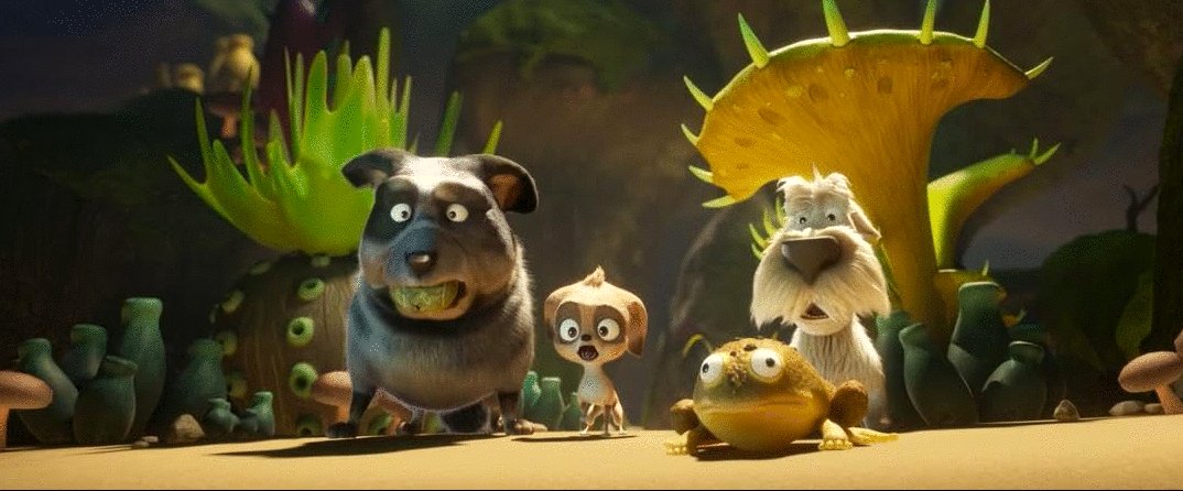 Photo du film 200% Loup