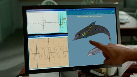 Photo du film Histoire de dauphin 2