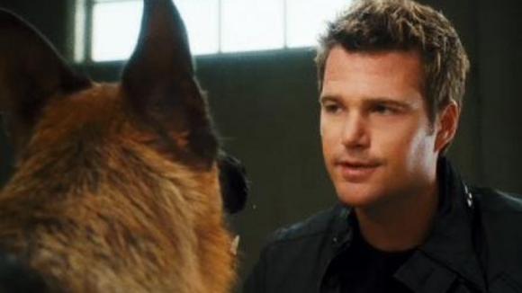 Photo du film Chats et chiens: La revanche de Kitty Galore