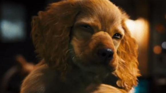 Photo du film Chats et chiens: La revanche de Kitty Galore