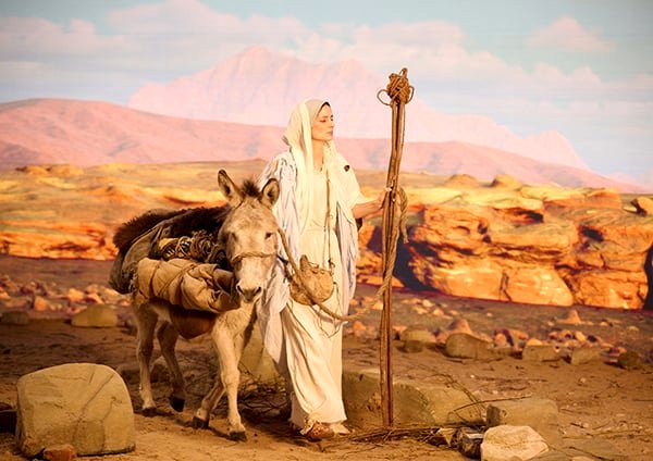 Photo from the movie I Am the Immaculate Conception [2024]