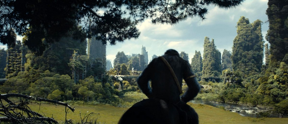 Photo du film Kingdom of the Planet of the Apes