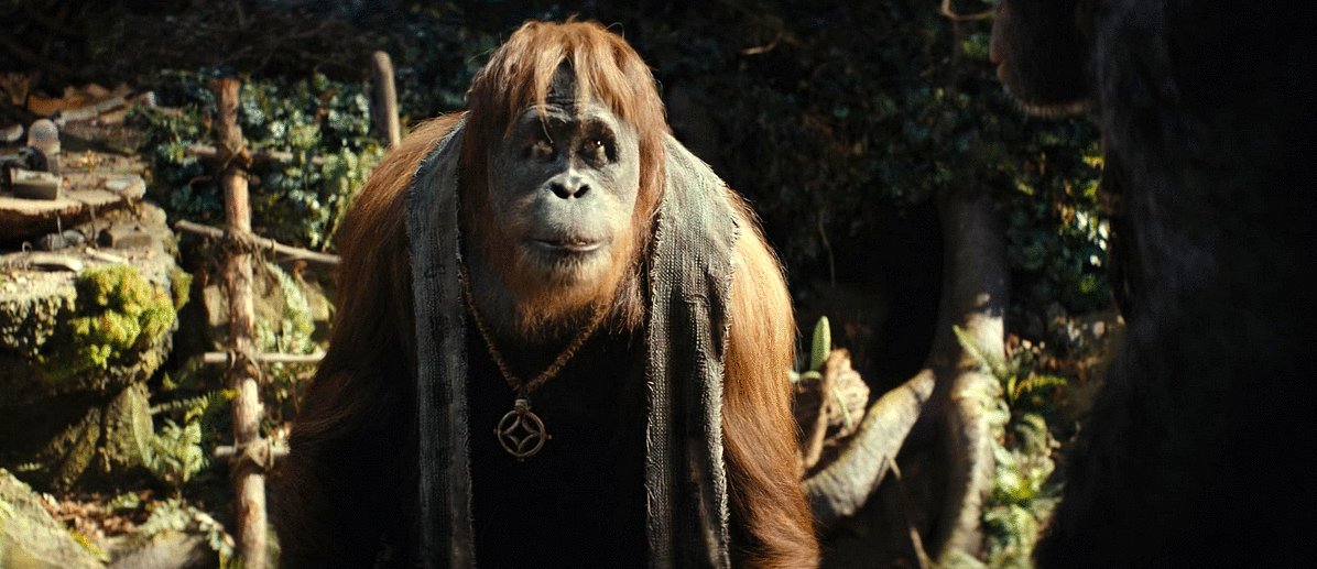 Photo du film Kingdom of the Planet of the Apes