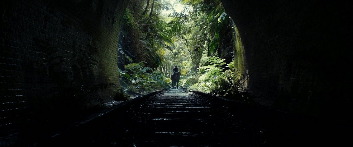 Photo du film Kingdom of the Planet of the Apes