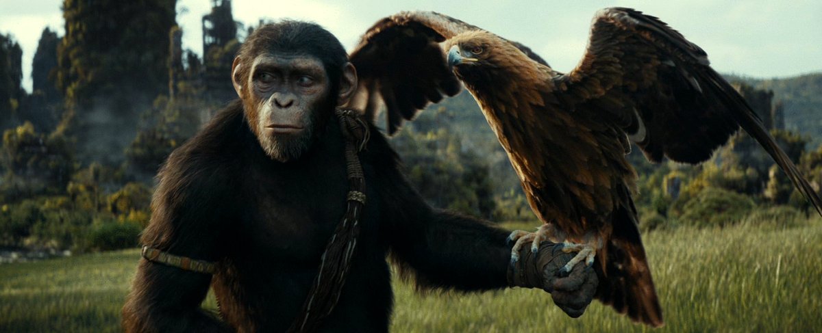 Photo du film Kingdom of the Planet of the Apes