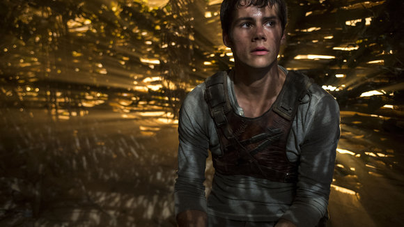 Photo from the movie The Maze Runner