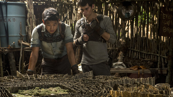 Photo from the movie The Maze Runner