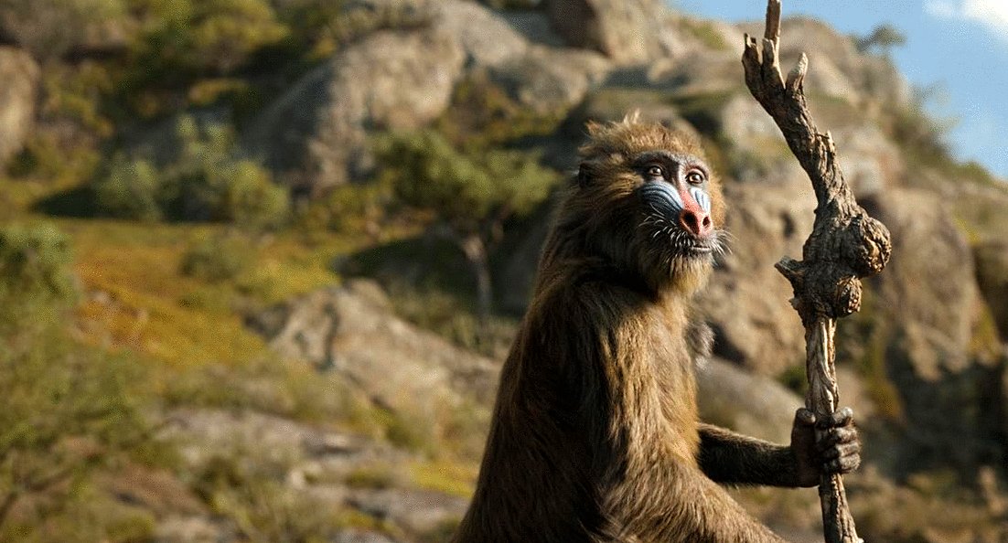 Photo from the movie Mufasa: The Lion King