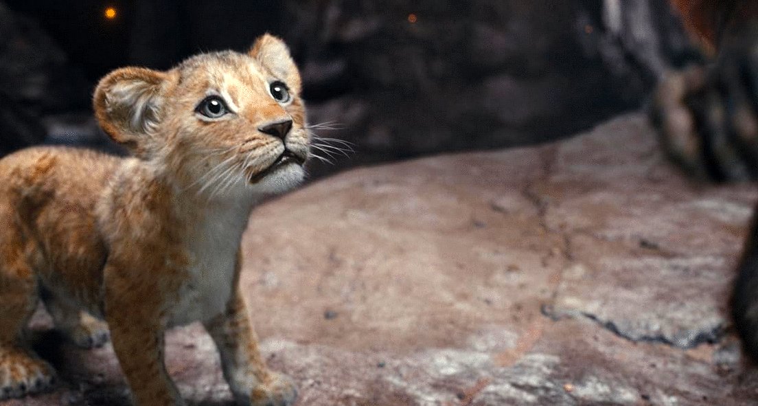 Photo from the movie Mufasa: The Lion King