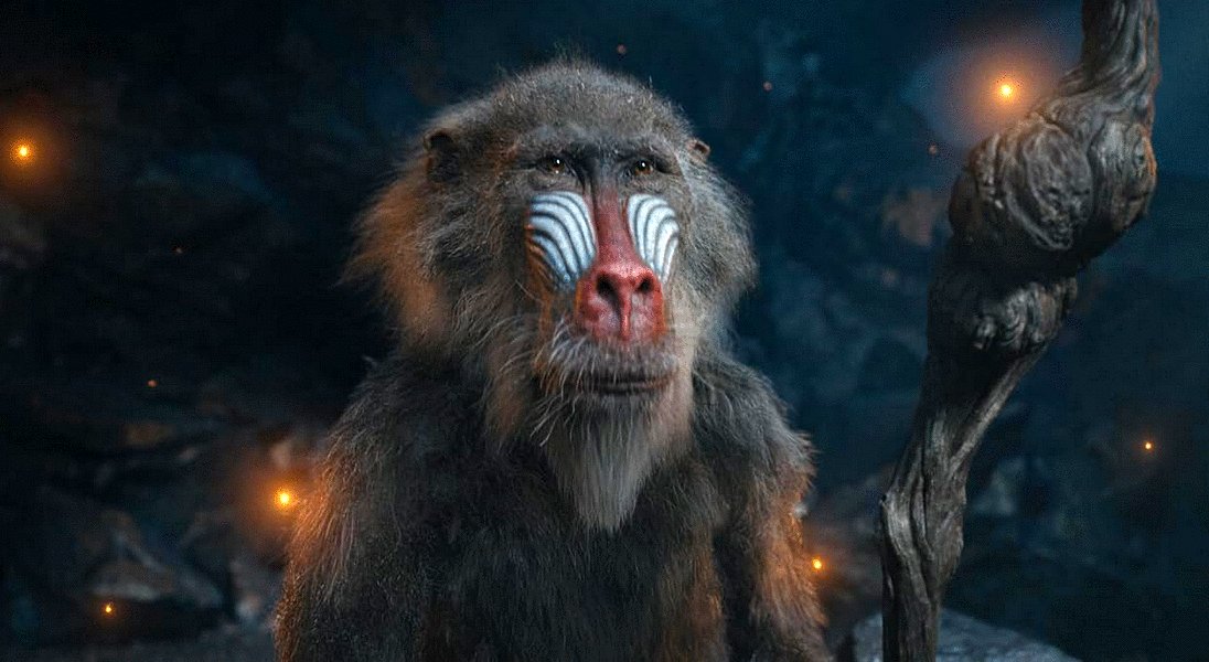 Photo from the movie Mufasa: The Lion King