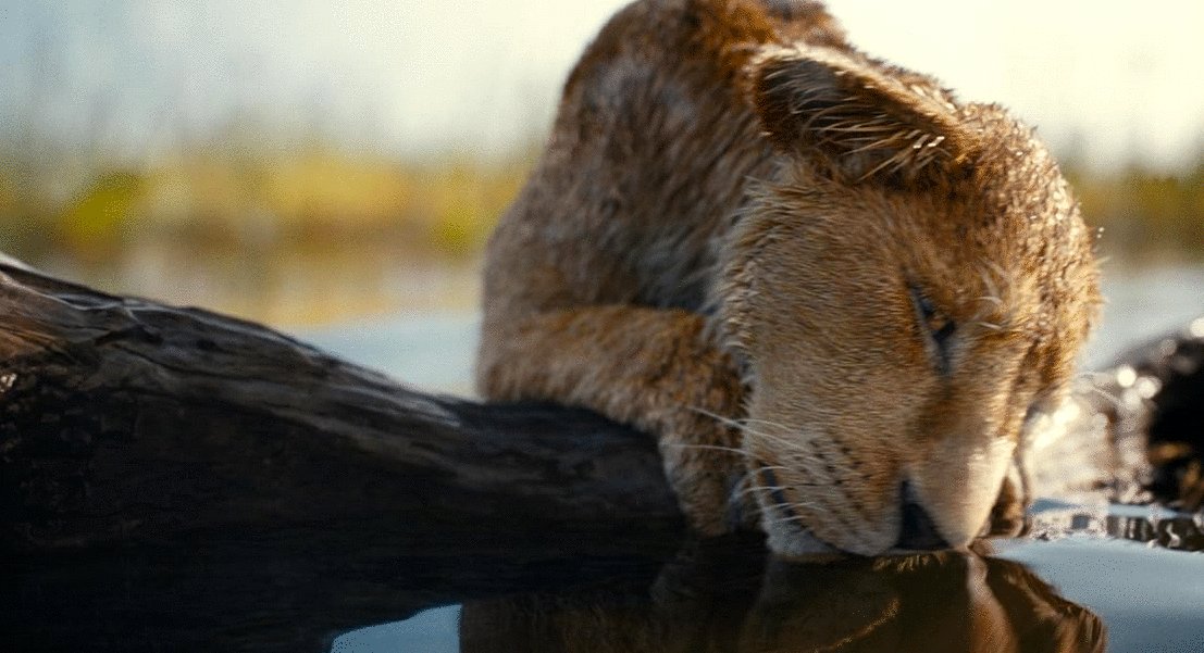 Photo from the movie Mufasa: The Lion King