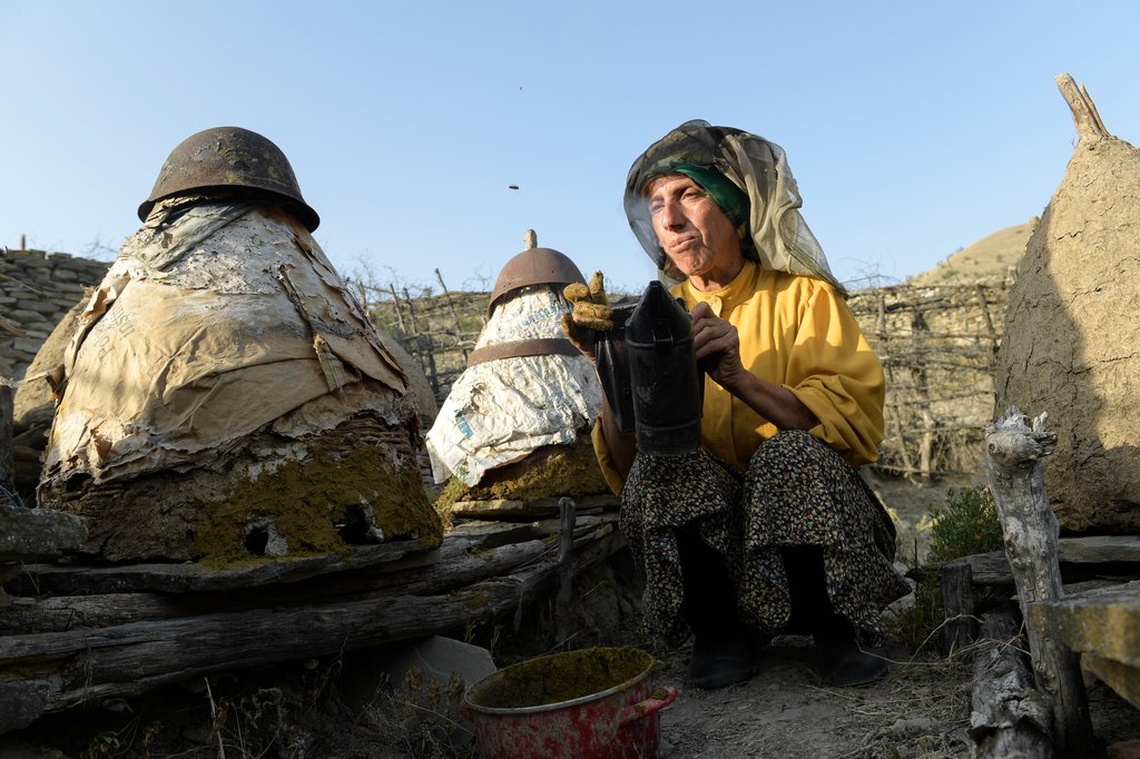 Photo du film Honeyland – Le Royaume des abeilles