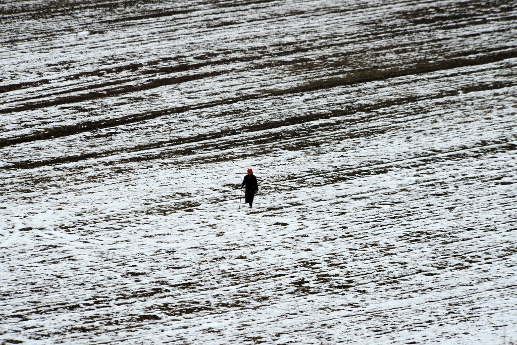 Photo du film Honeyland – Le Royaume des abeilles