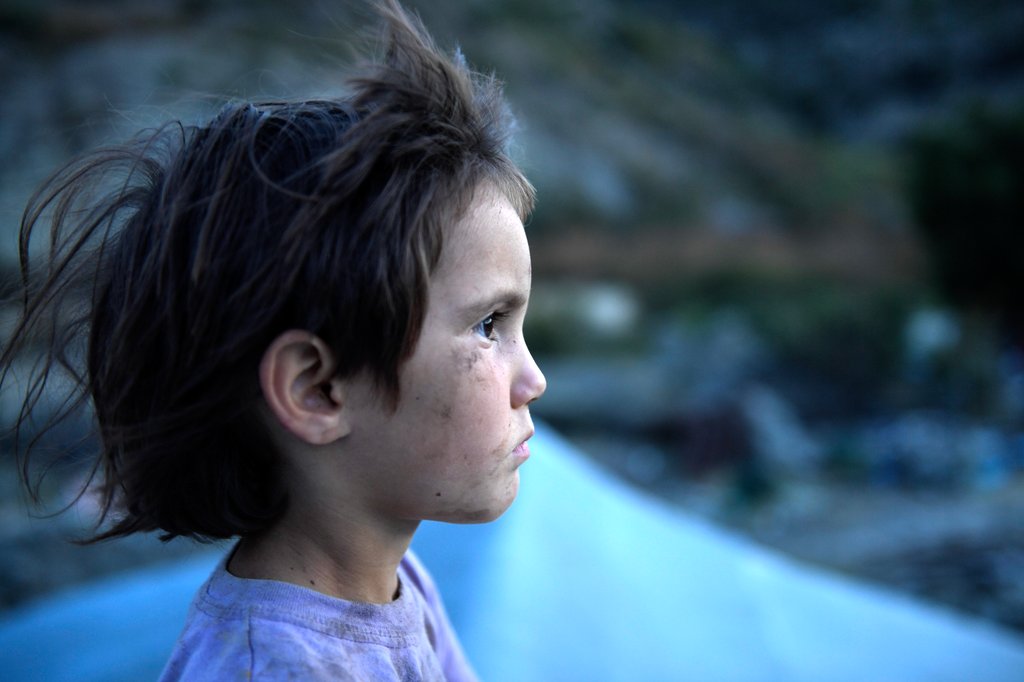 Photo du film Honeyland – Le Royaume des abeilles