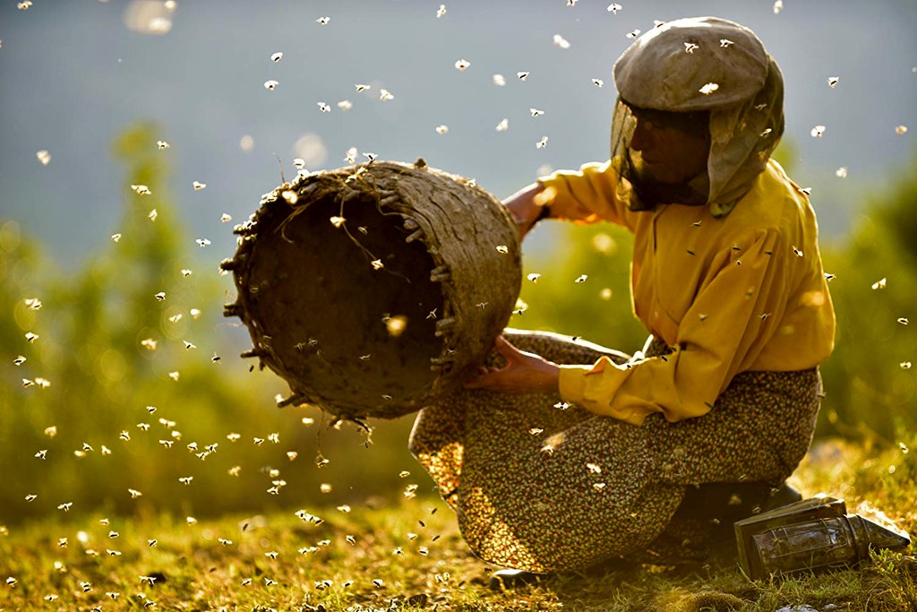 Photo du film Honeyland – Le Royaume des abeilles