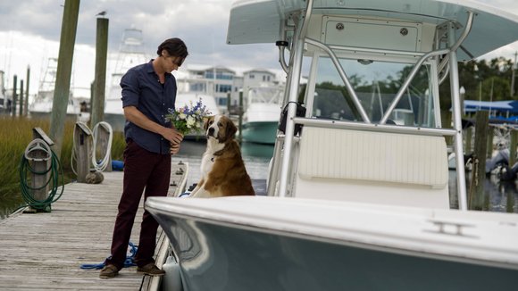 Photo du film Un Choix