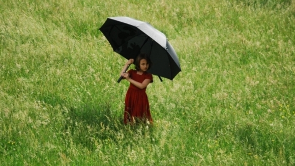 Photo du film La Clé des champs