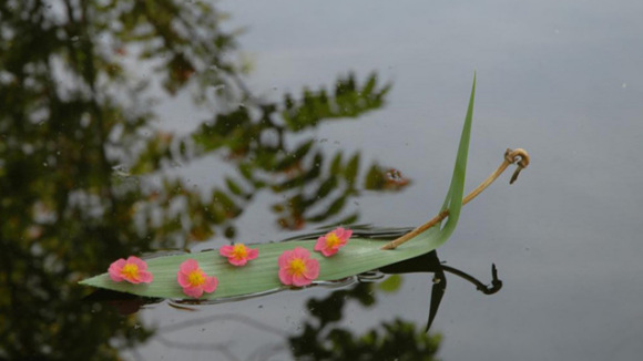 Photo du film La Clé des champs