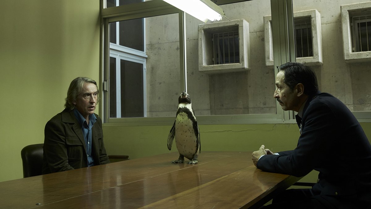 Photo du film The Penguin Lessons