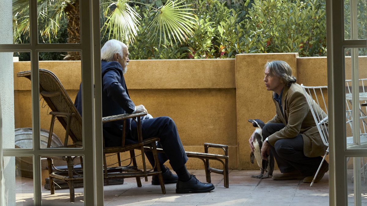 Photo du film The Penguin Lessons