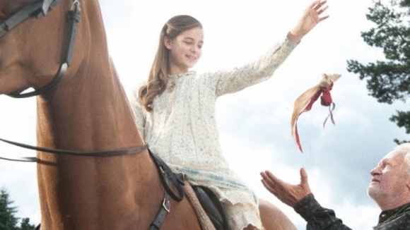 Photo du film Cheval de guerre